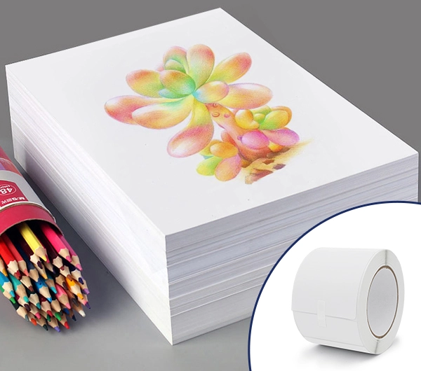 Wood-Free Paper-2.webp